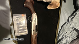 beretta 2